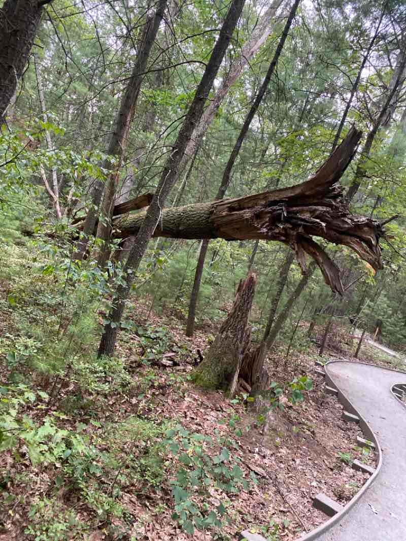 walking near me in Seymour Park in autumn