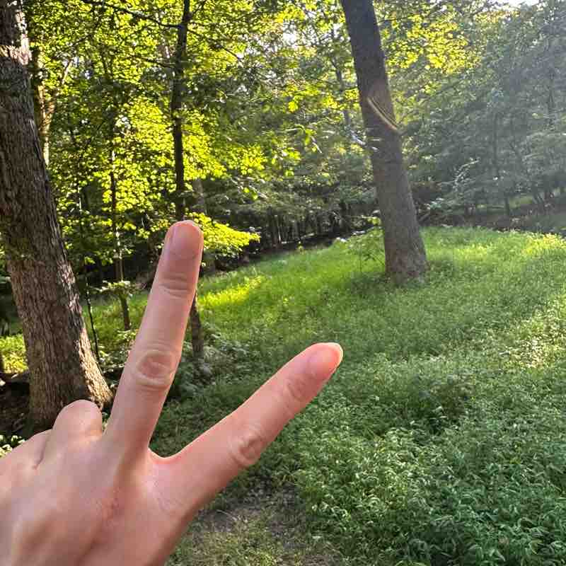 CCB Fan CCB post image