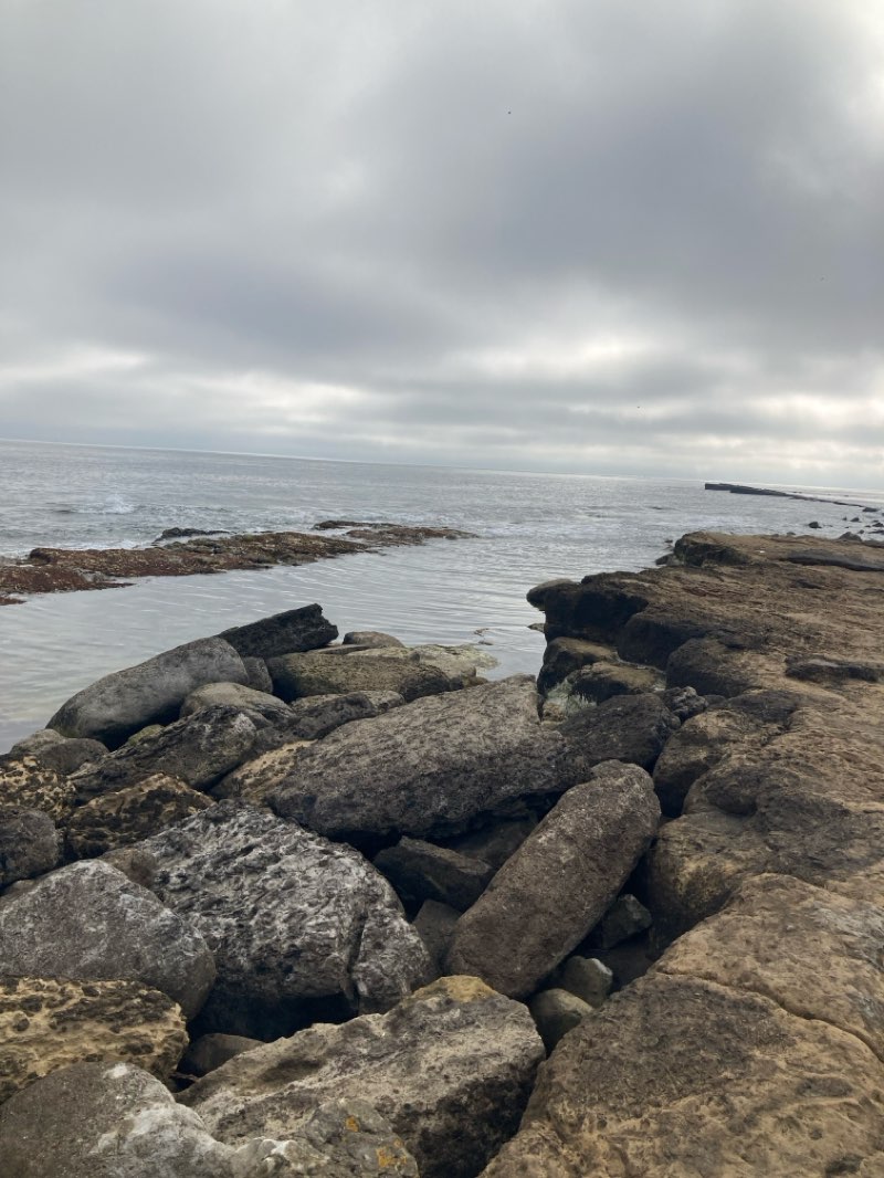walking near me in Crescent Gardens in autumn