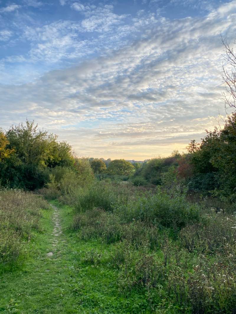 walking near me in Horsefield Green in autumn