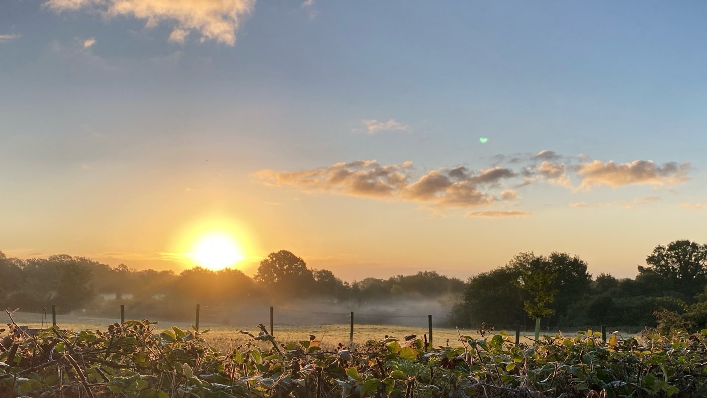 walking near me in Cuckfield Recreation Ground in autumn