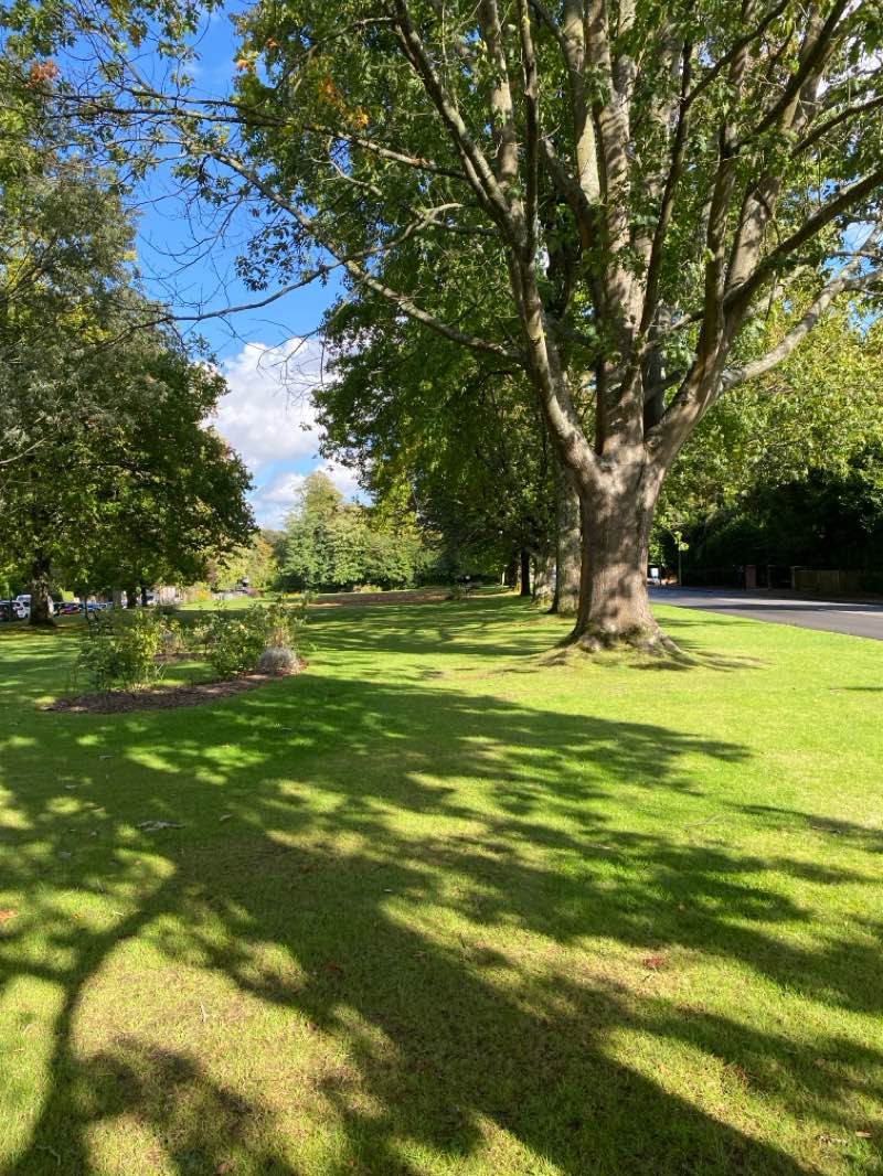 walking near me in Victoria Park in autumn
