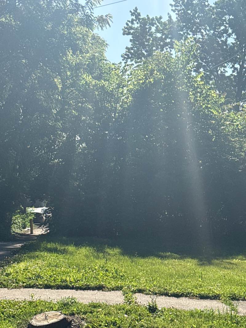 walking near me in Triangle Park in summer