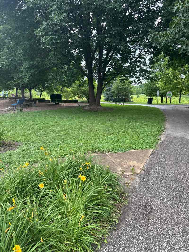 walking near me in Munger Park in summer