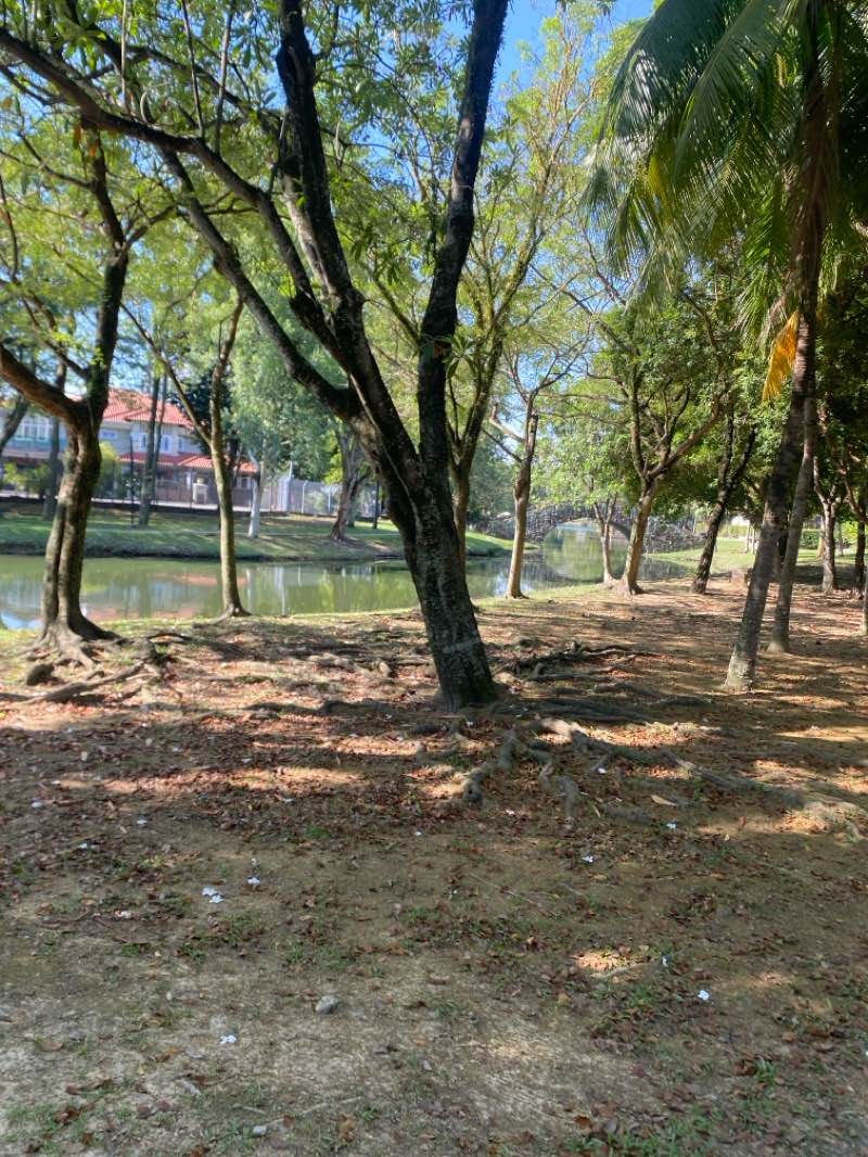 walking near me in Botanik Walk Park in autumn