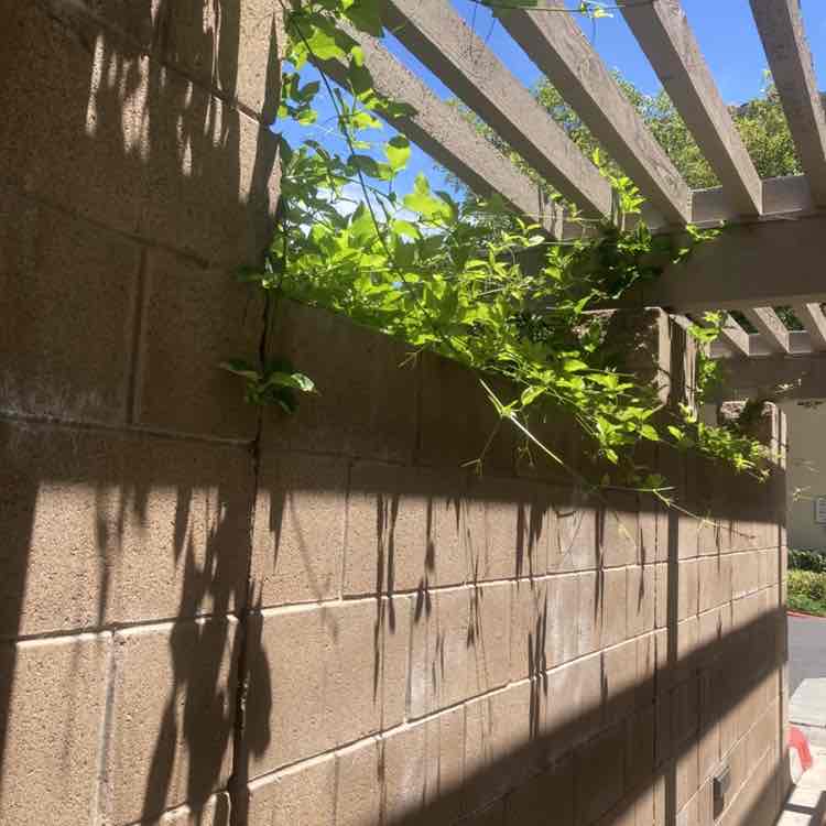 Поддержка и просто веселье Darina Russian girl post image