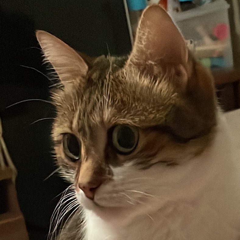 Rems profile