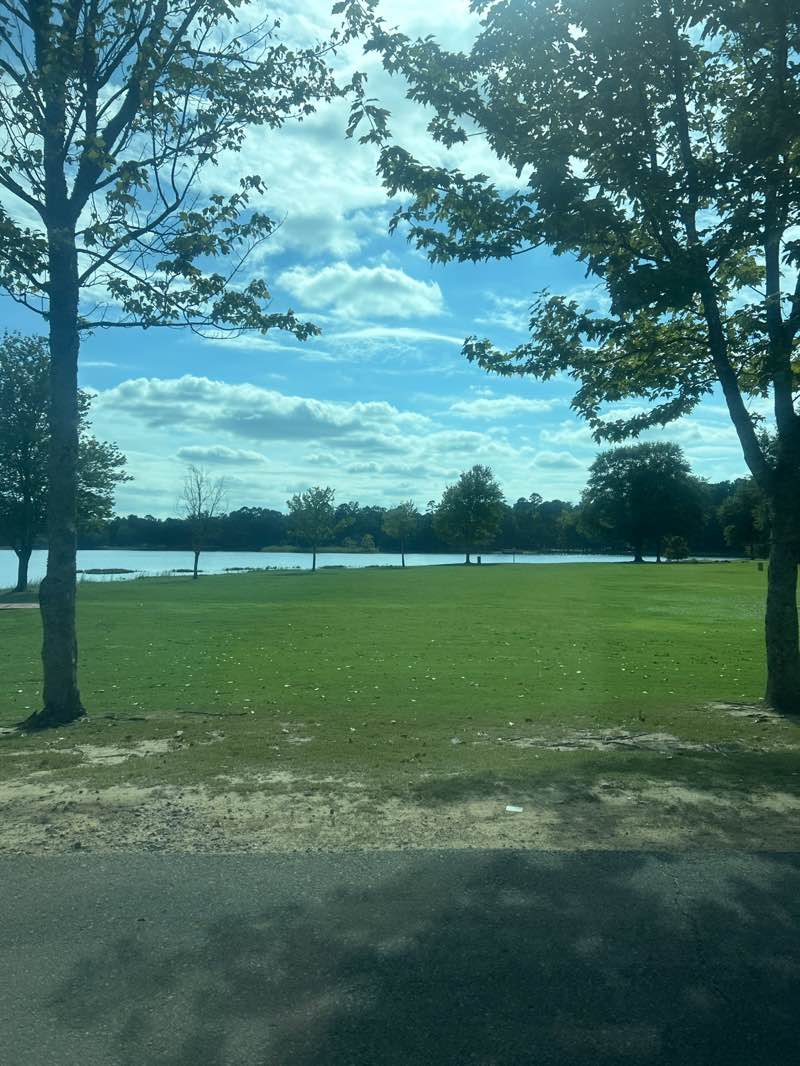 walking near me in Lake Willastein Park in autumn
