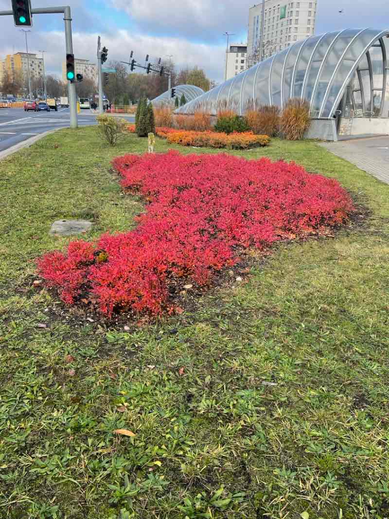 walking near me in Bulwary księdza Stanisława Hałko in autumn
