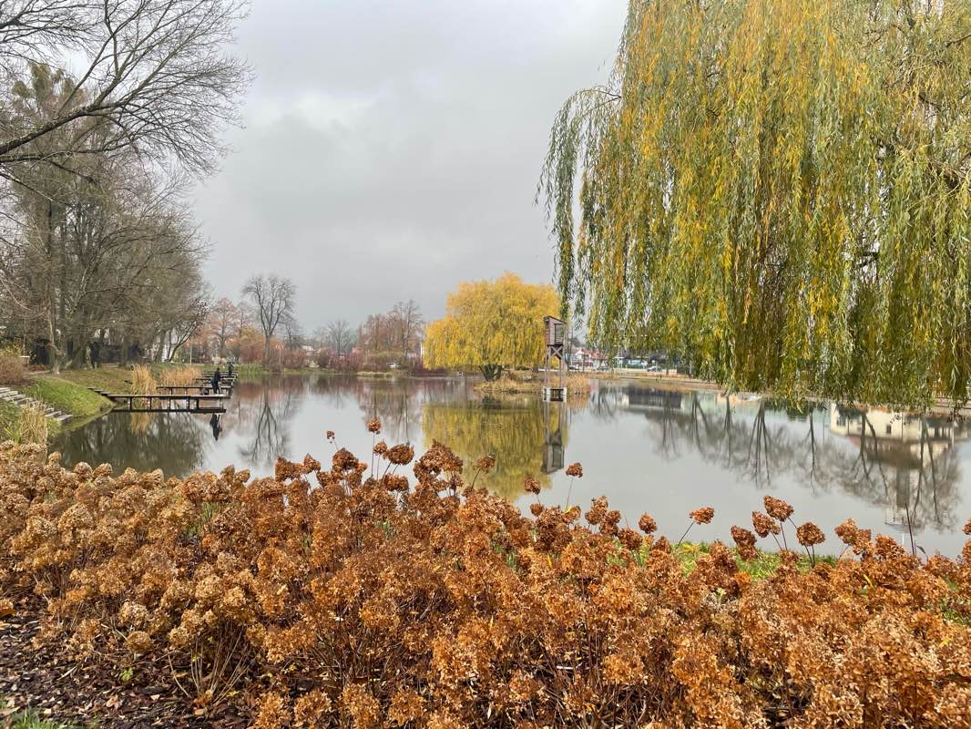 walking near me in Park im. Jadwigi Dziekońskiej in autumn