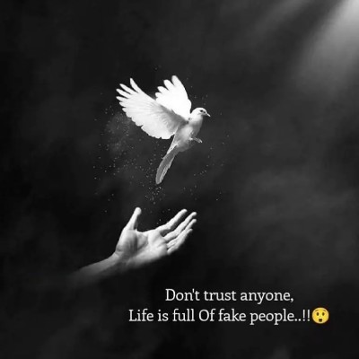 Amigos de Gastón  Walter William post image