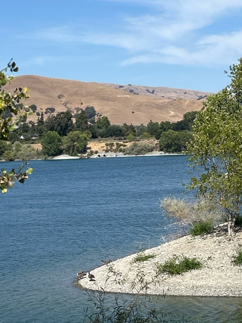 walking near me in Quarry Lakes Regional Park in autumn