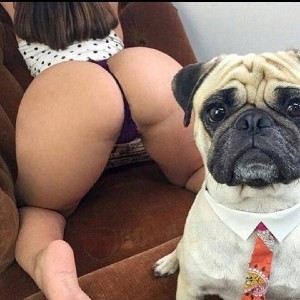 Пётр Брауни profile