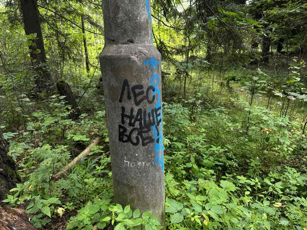 walking near me in Дендропарк in autumn