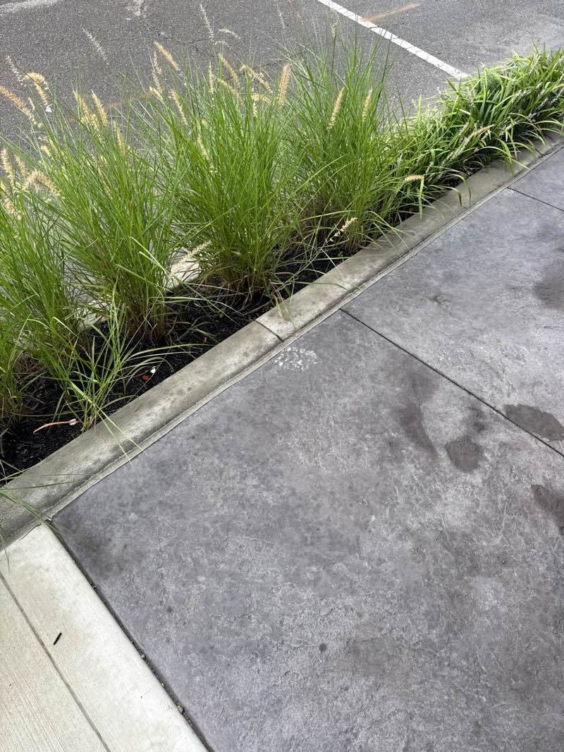 walking near me in World Peace Bell and Exhibit Center in summer