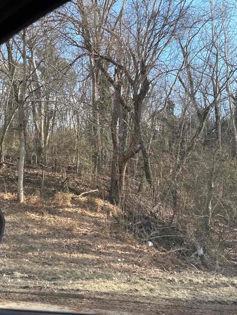walking near me in Lee Memorial Park in winter