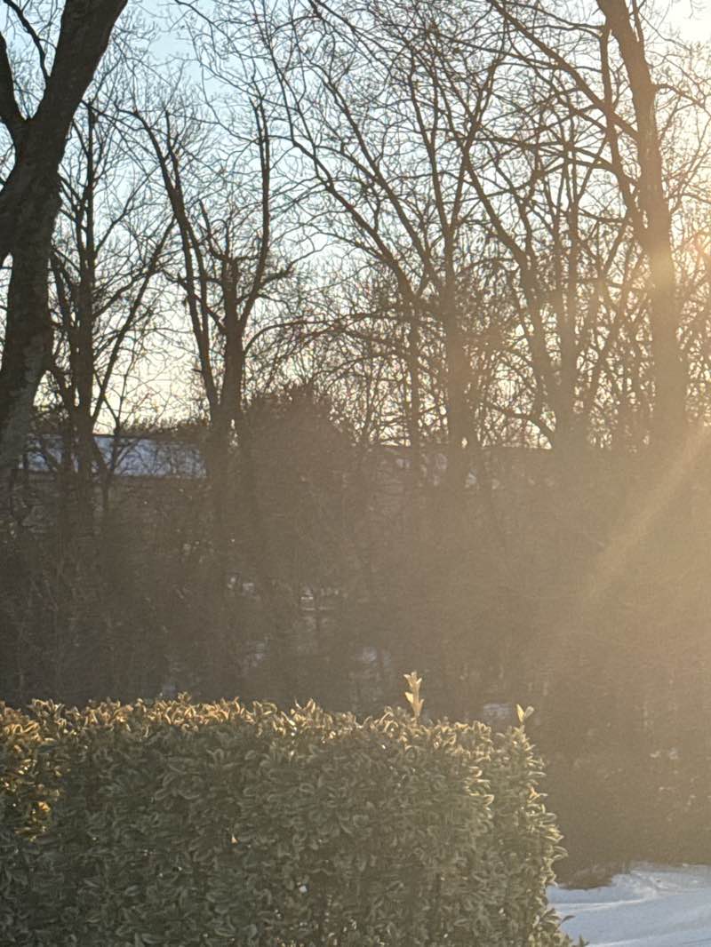 walking near me in Ambermill Local Open Space in winter