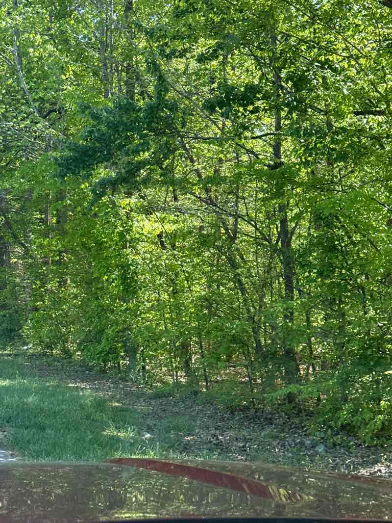 walking near me in Lake Brandt Open Space & Hiking Trai in spring