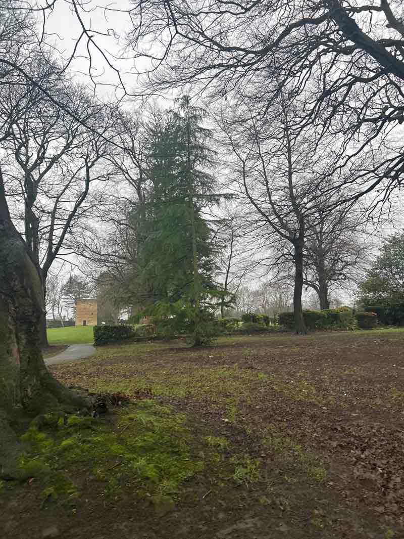 walking near me in Chase Park in winter