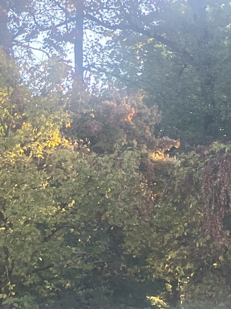 walking near me in Alcova Heights Park in autumn