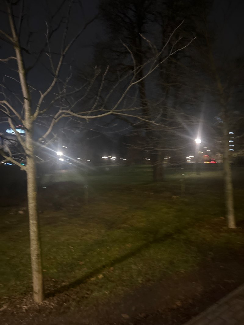 walking near me in Park Jana Henryka Dąbrowskiego in winter