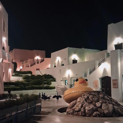 ricepot revival arc Yahya 私 post image