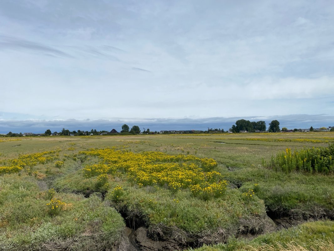 walking near me in Tsawwassen First Nation Sport Field Complex in autumn