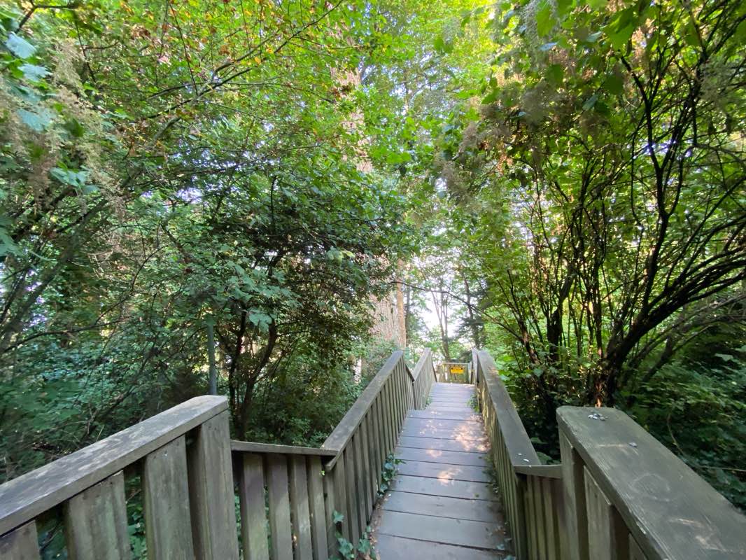 walking near me in Blackie Spit Park in autumn