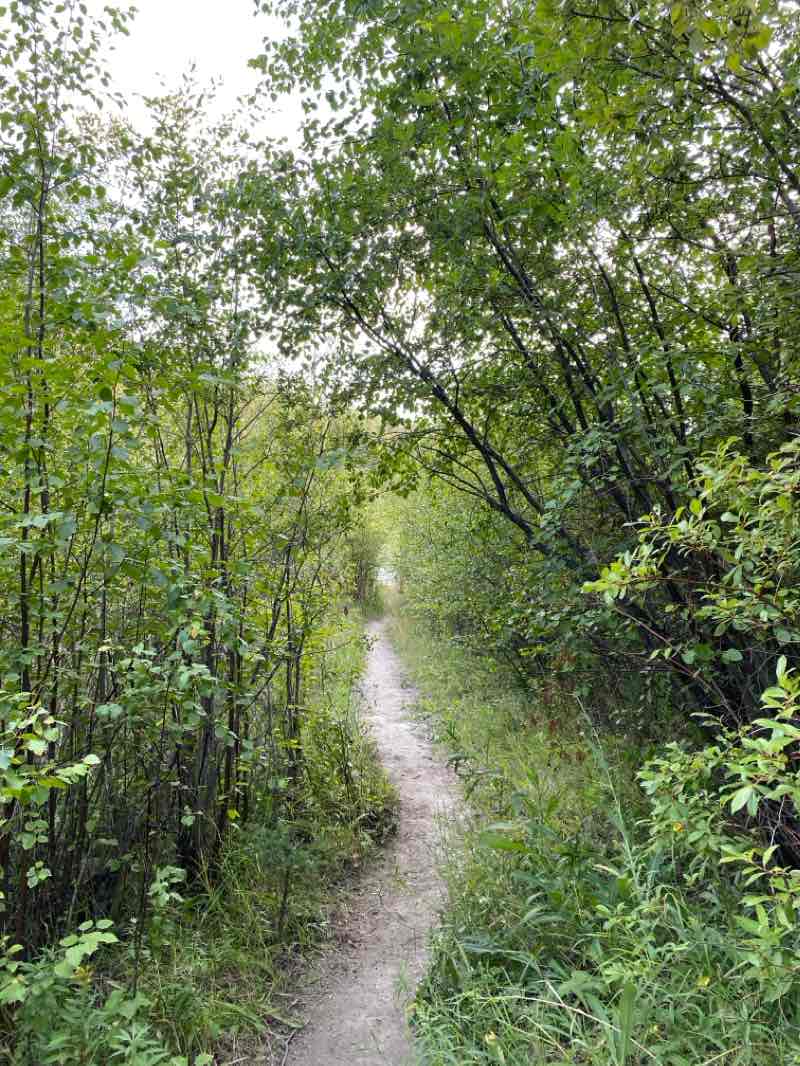 walking near me in Kentucky-Alleyne Provincial Park in autumn