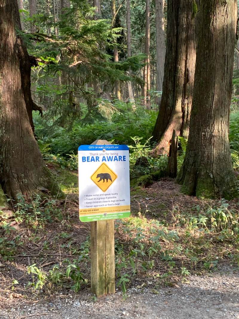 walking near me in Victoria Park in autumn