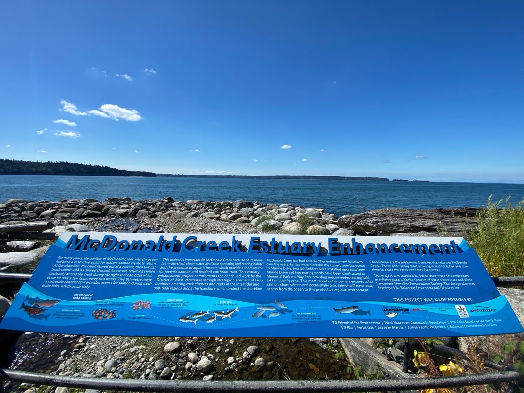 walking near me in Ambleside Waterfront in autumn