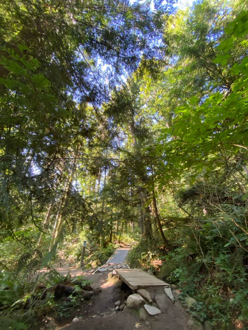 walking near me in AQ Gardens in autumn
