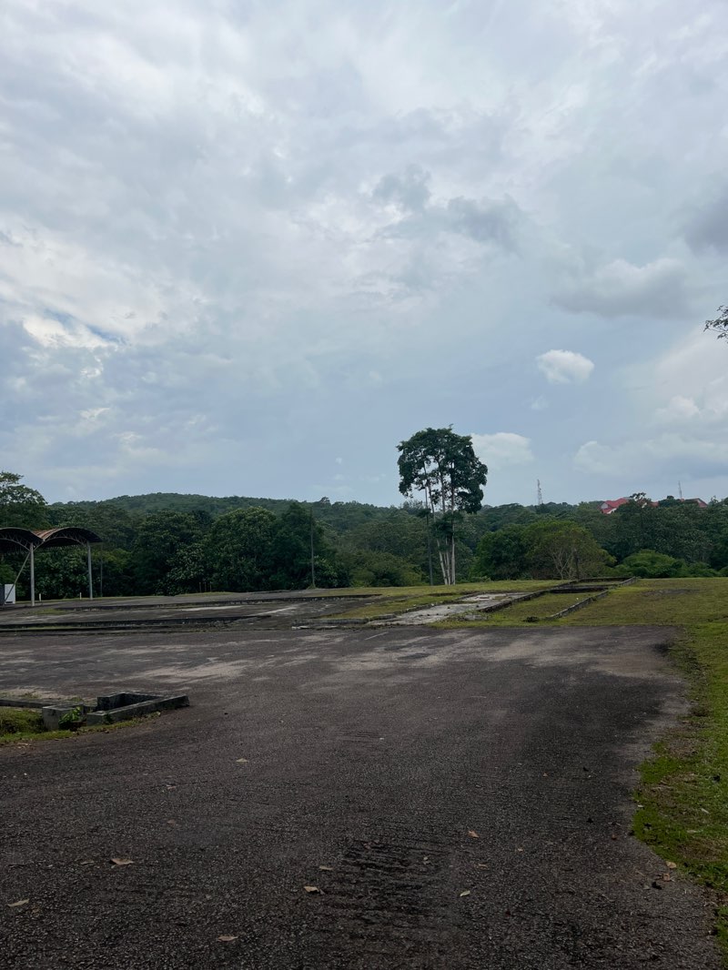 walking near me in Paintball Recreation Park in autumn