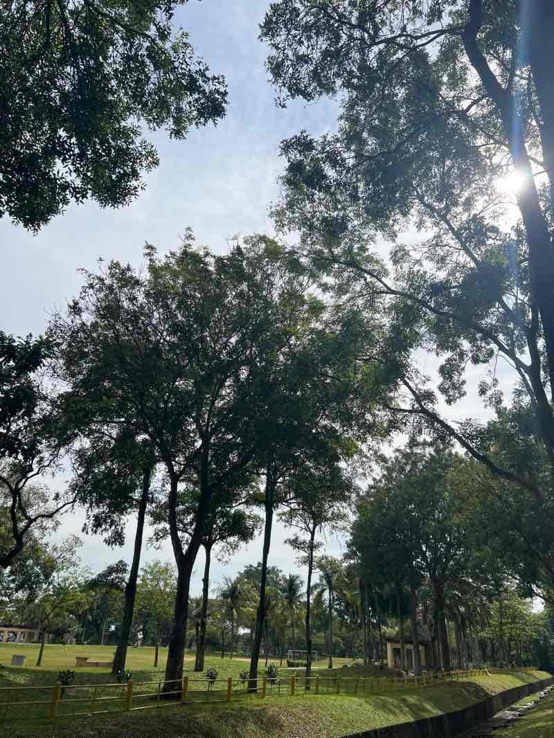 walking near me in Setia Indah Park in autumn