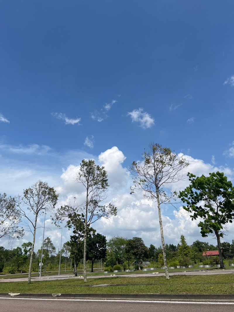 walking near me in DRZ Iskandar Drone Test Site (DTS) in autumn