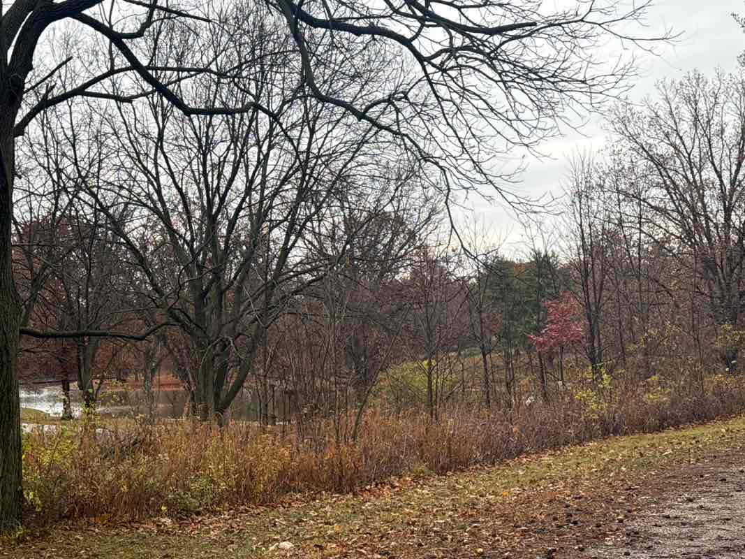 walking near me in Lake of the Woods County Park in autumn