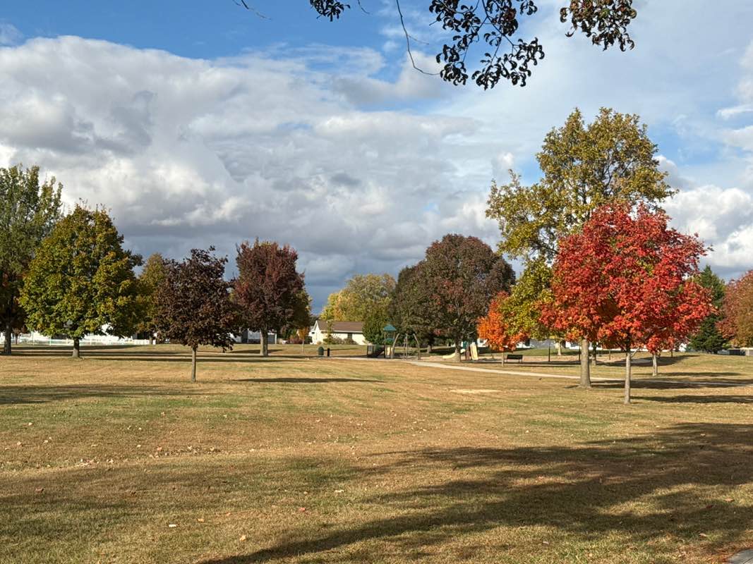 walking near me in Powell Park in autumn