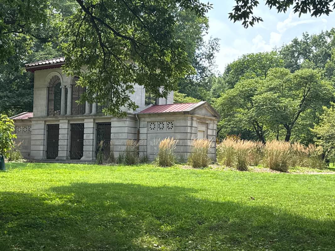 walking near me in Carle Park in autumn