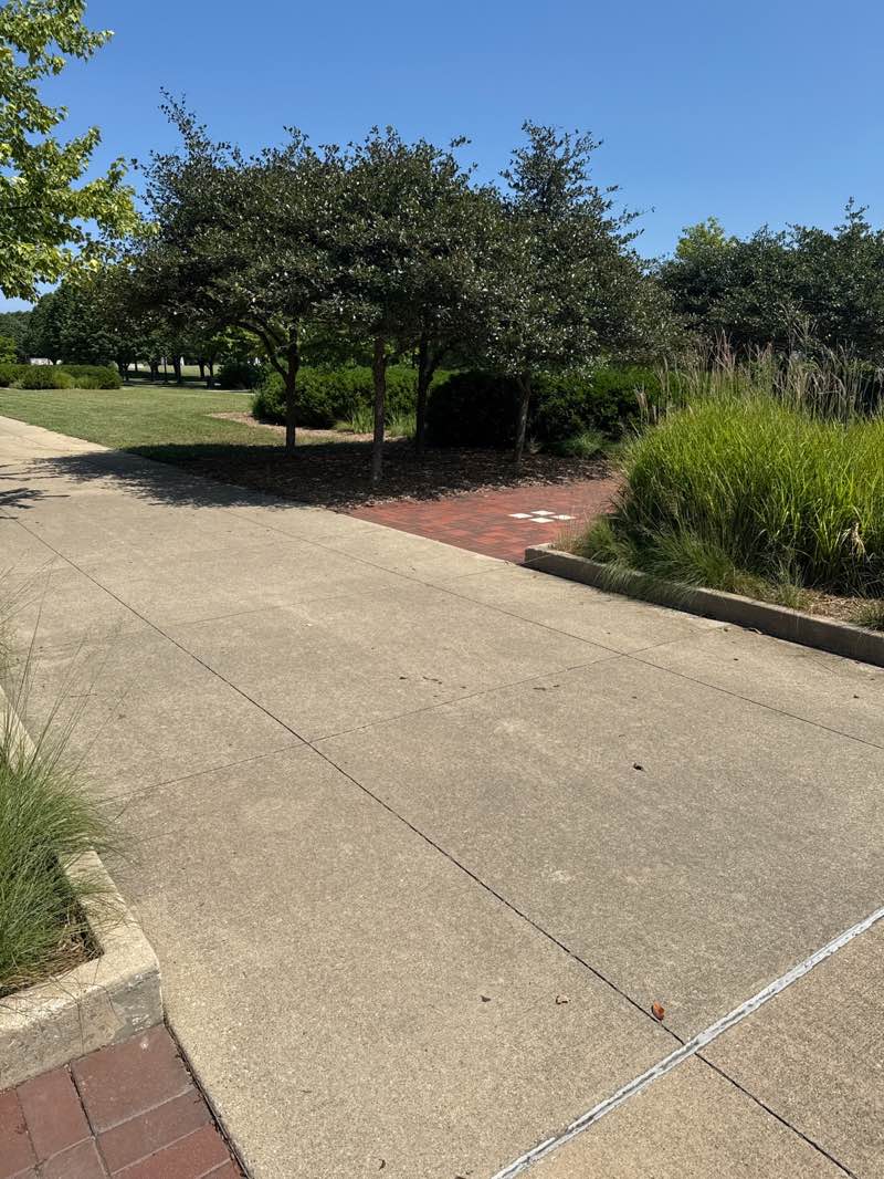 walking near me in McGraw Park in autumn