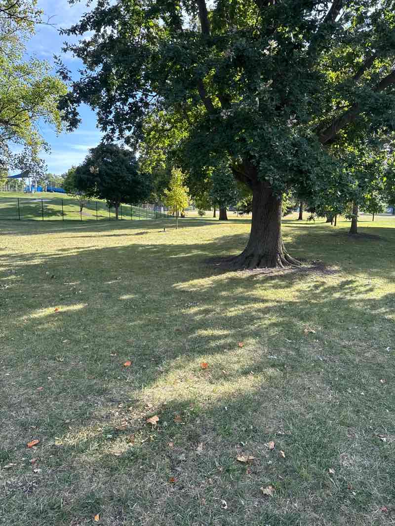 walking near me in Centennial Park in autumn
