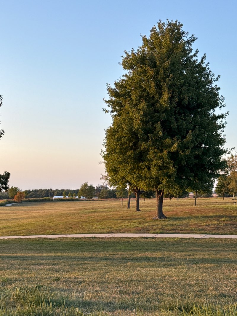 walking near me in Sunset Ridge Park in autumn
