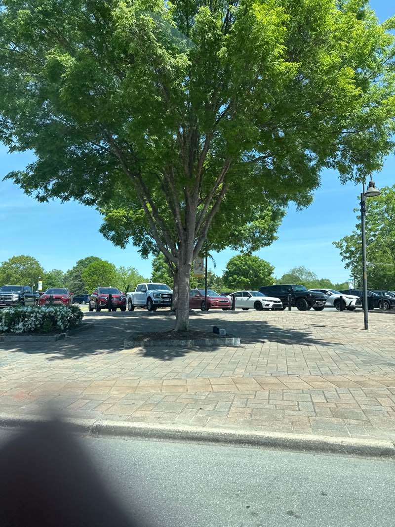 walking near me in Horne Square in spring
