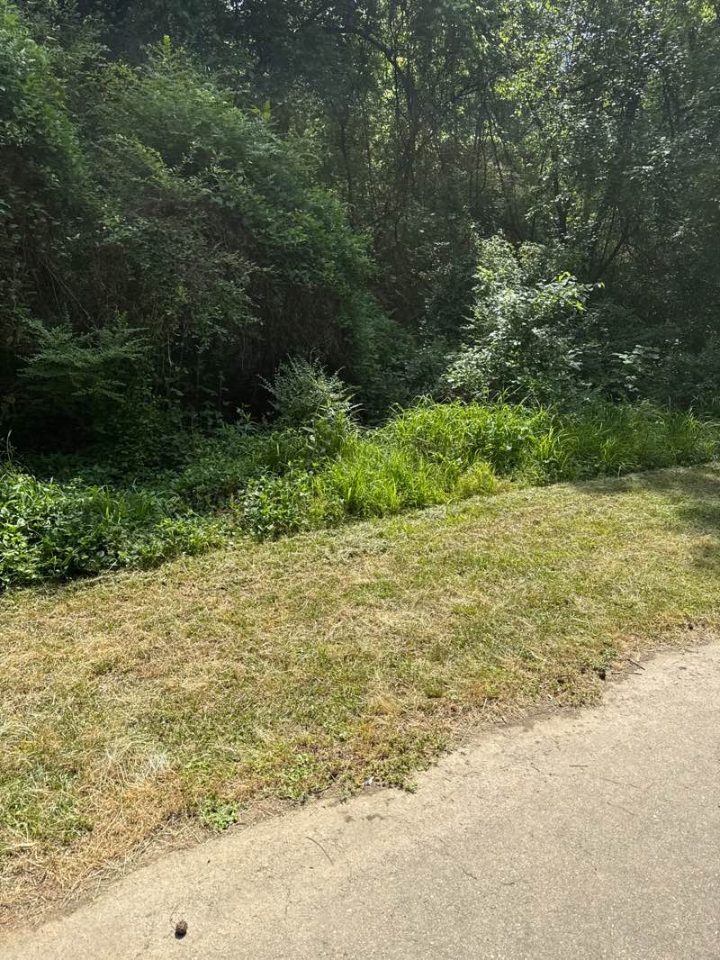 walking near me in Town Commons Park in spring