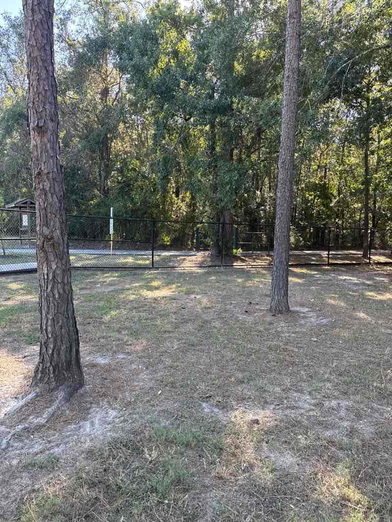 walking near me in Pundt Park in autumn