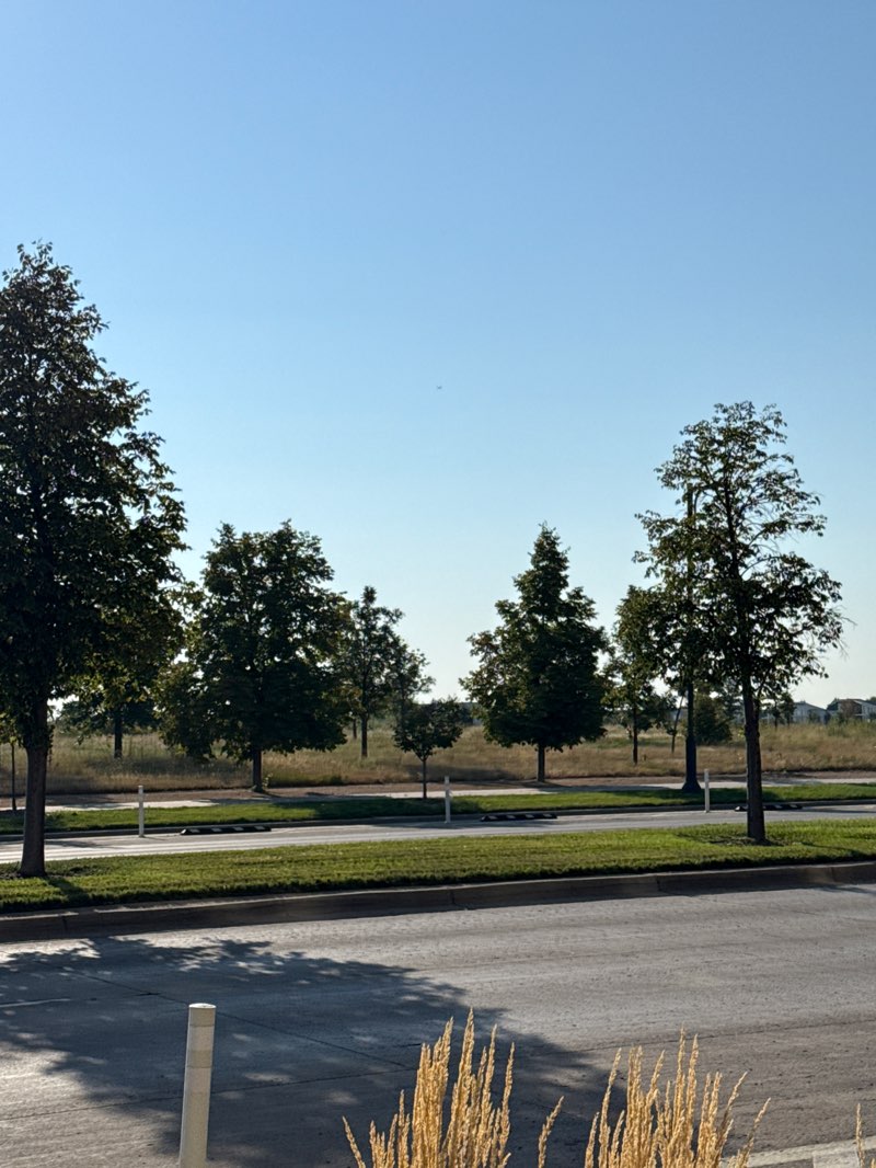 walking near me in Central Park in autumn