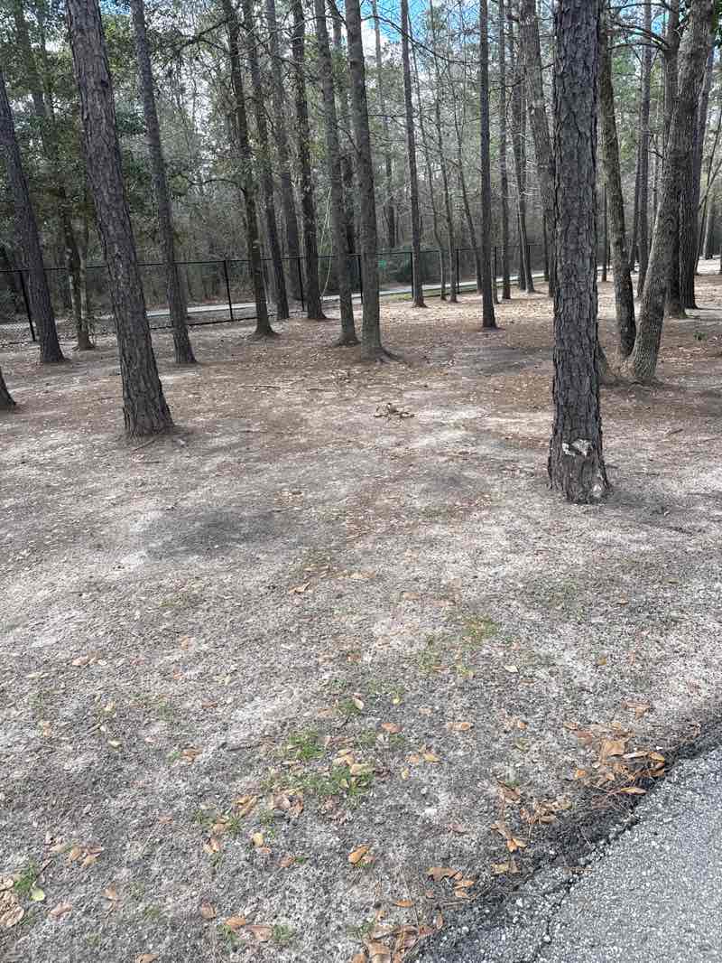 walking near me in Pundt Park in winter