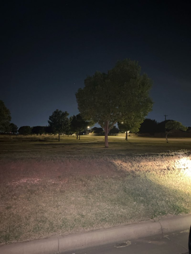 walking near me in Rick Klein Park North in autumn