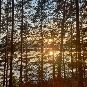 Анна Пономарева profile