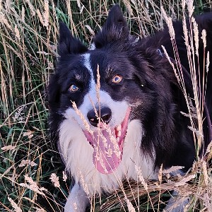 Nathalie Kristl icon