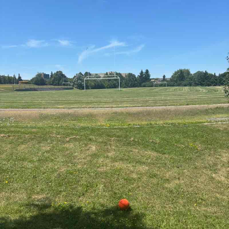 Pace in Paradise🚶🏿🏝 Trinity post image